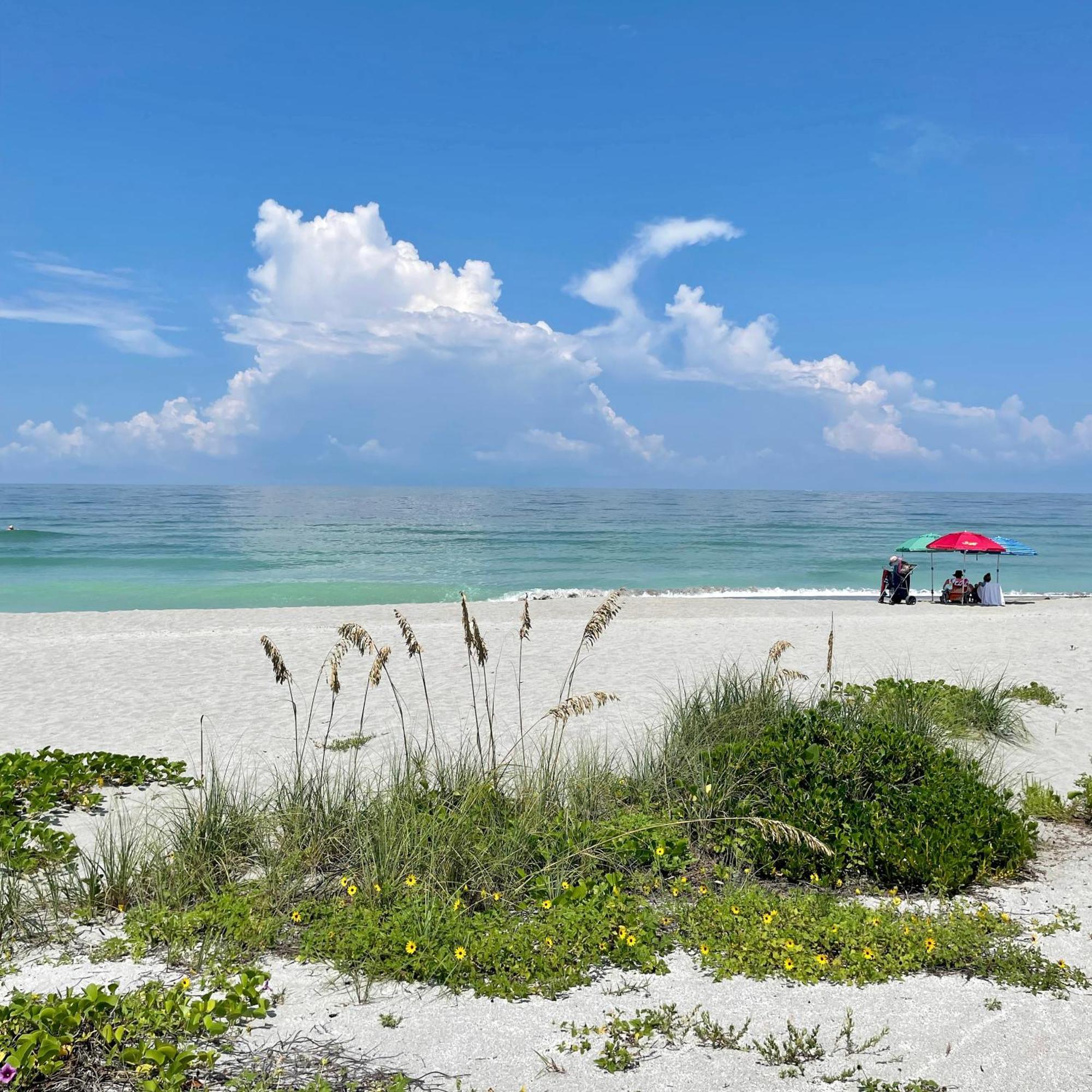 Turtle Beach Resort Siesta Key Exteriér fotografie